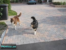 Бендеры Labyrint Античная -35% скидка. Лабиринт Бендера ...